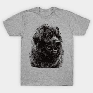 Leonberger gift for Leo Owners T-Shirt